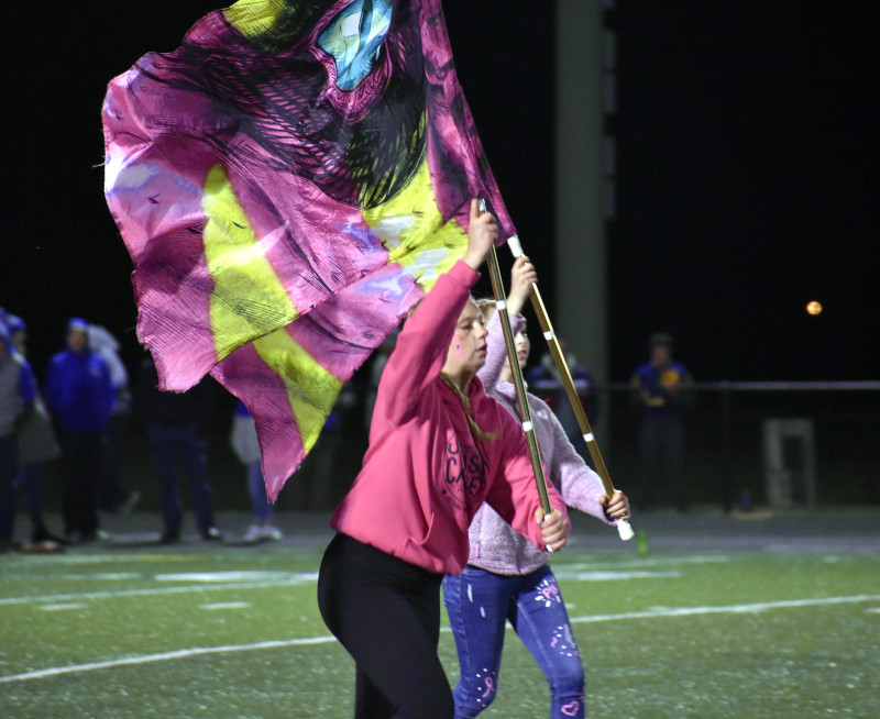 Flag wavers