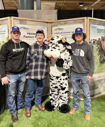 Boys with cow