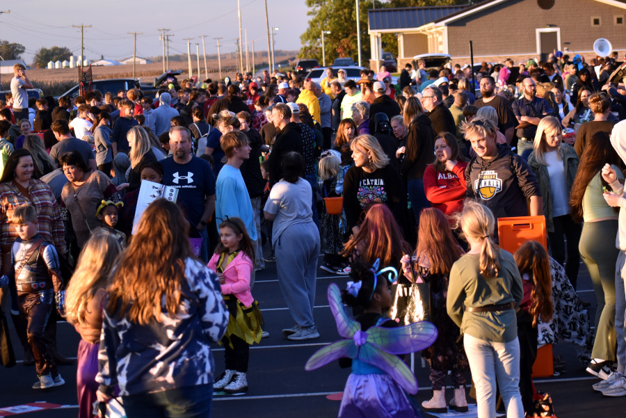 The crowd