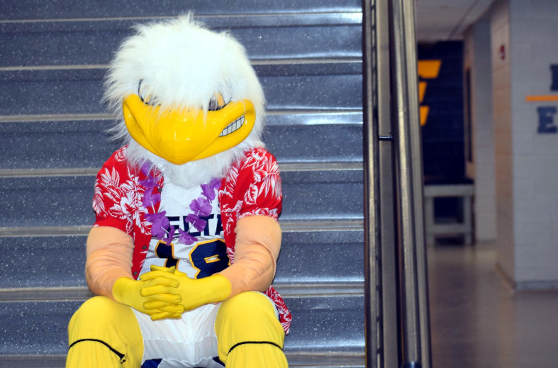 Eagle mascot on stairs