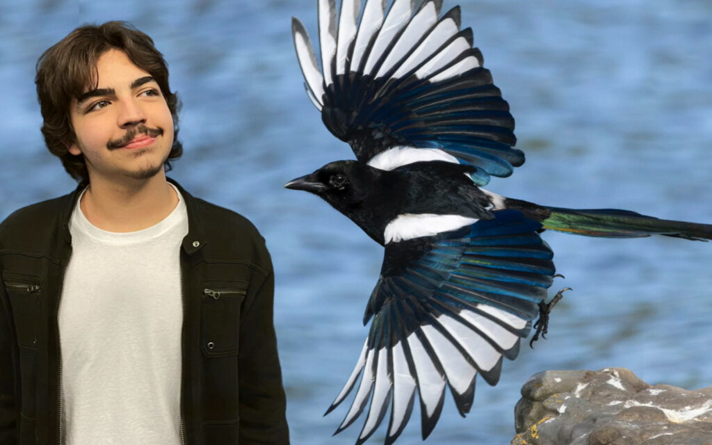 Ginder and magpie