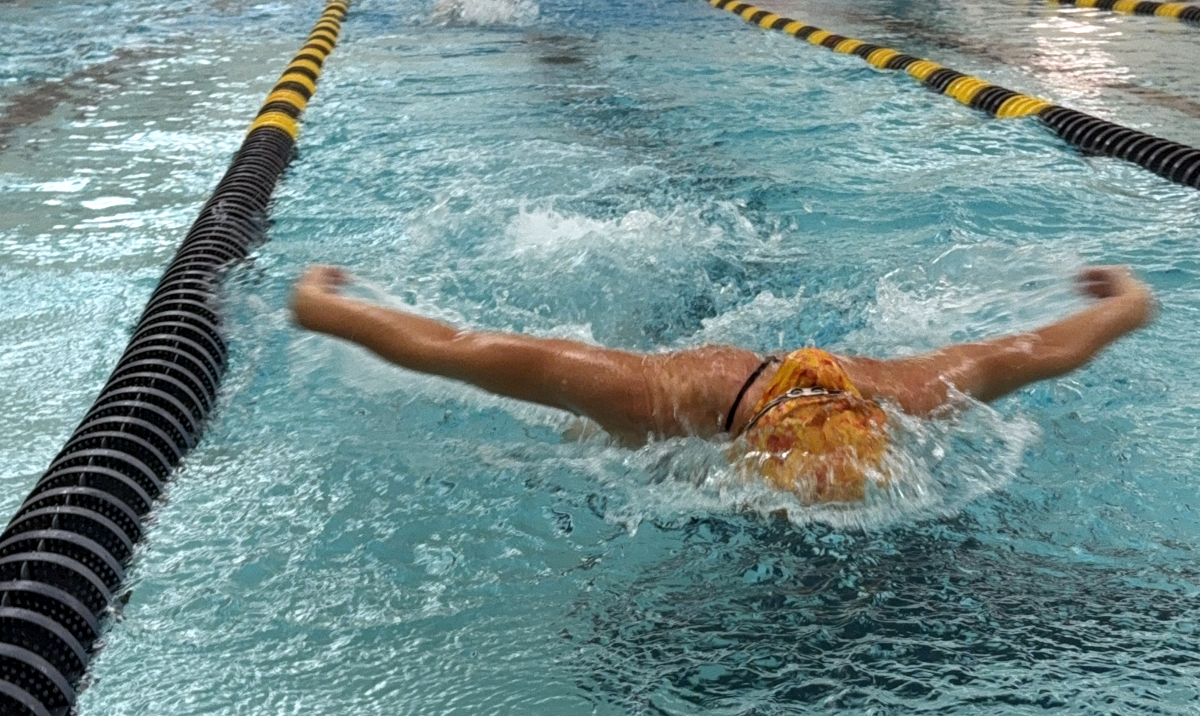 Jackson butterfly wimming